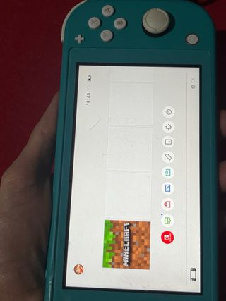Nintendo Switch Lite + Caricabatterie