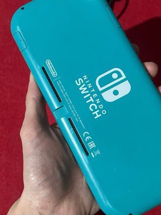 Nintendo Switch Lite + Caricabatterie