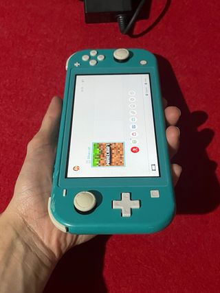 Nintendo Switch Lite + Caricabatterie