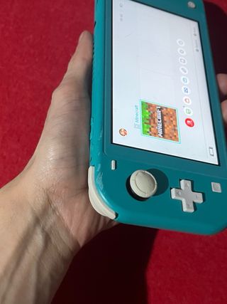 Nintendo Switch Lite + Caricabatterie