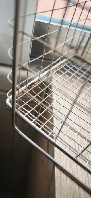 ELEGOO Mercury X Bundle Lavado y Curado