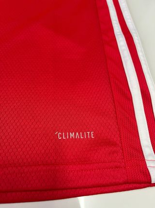 Camiseta Adidas Benfica 2019 2020 Grimaldo 3