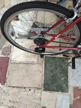 Bicicletta da strada rossa
