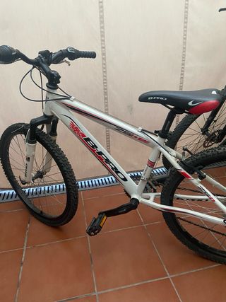 Bicicleta MTB Llanta 24