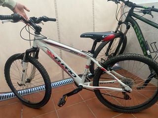 Bicicleta MTB Llanta 24