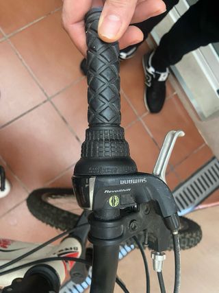 Bicicleta MTB Llanta 24