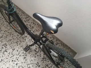 Bicicleta Negra