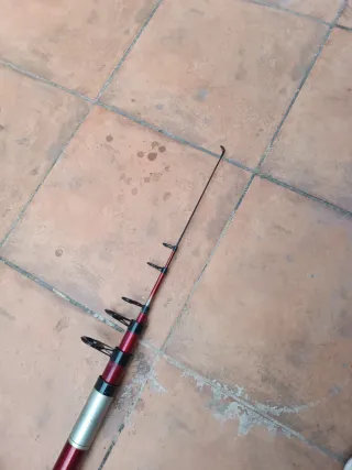 Caña de pescar Mitchell con carrete