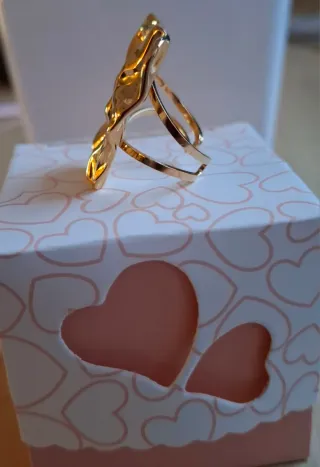 Anillo de Acero inoxidable