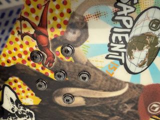 Tabla Snowboard Sapient Evolution 157