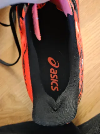 Zapatillas Asics Noosa Tri 15 Talla 46