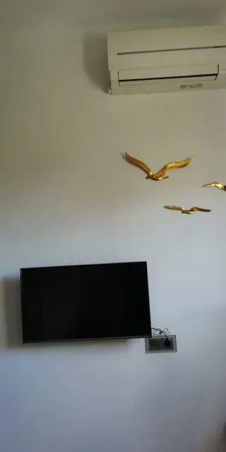 Pintura Blanca LATEX Interior/Exterior