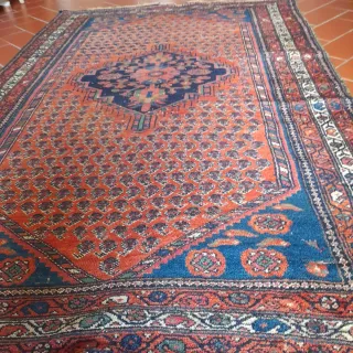 Tappeto Persiano Lana Rosso Blu