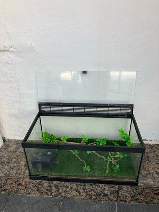Acuario Pecera Terrario 54L
