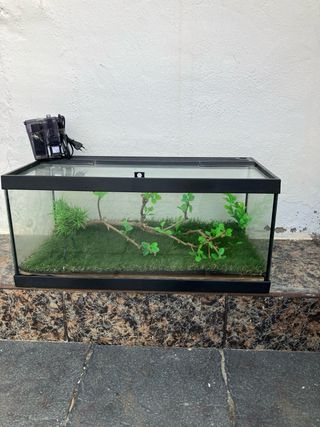 Acuario Pecera Terrario 54L