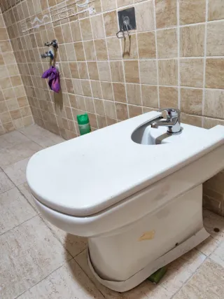 Bidé de porcelana blanco