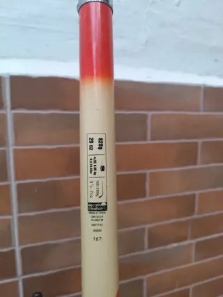 Cana de pescar con carrete