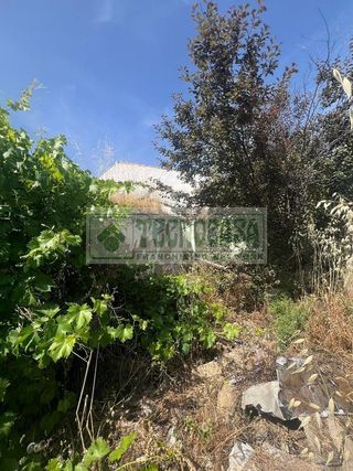 Terreno en venta en Ronda