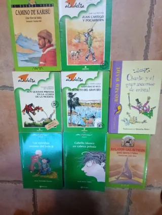 Lote 8 Libros Infantiles a partir de 12 años