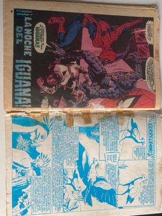 Peter Parker Spiderman Vol. 1 núm. 16 Vertice