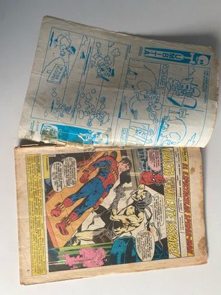 Peter Parker Spiderman Vol. 1 núm. 16 Vertice