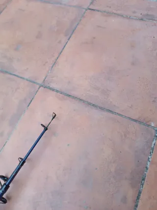 Caña de pescar con carrete