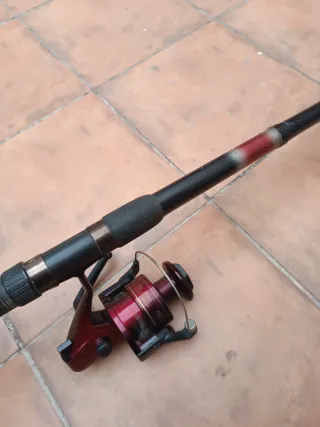 Caña de pescar con carrete