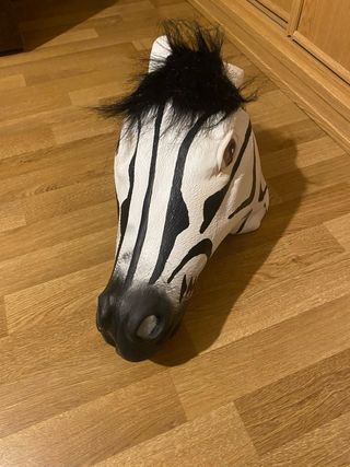 Disfraz cebra niña