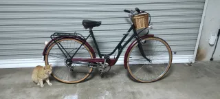 Bicicleta BH Paseo Vintage - bonita y funcional