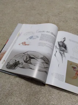 Dibujo de Anatomía Artística (Spanish Edition)