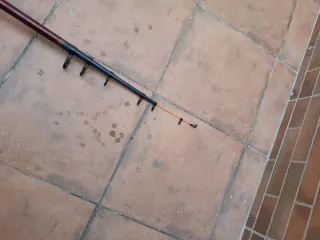 Caña de pescar con carrete