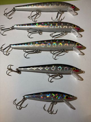 Pack 5 señuelos pesca realistas