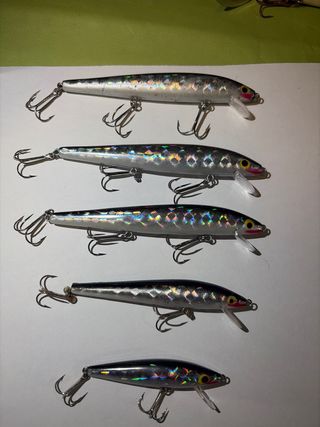 Pack 5 señuelos pesca realistas