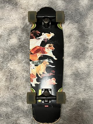 Skate Globe Cruiser