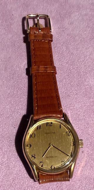 Reloj Festina Dorado y Marrón