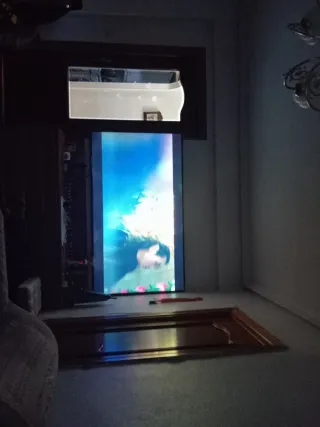 Televisor LG Smart TV