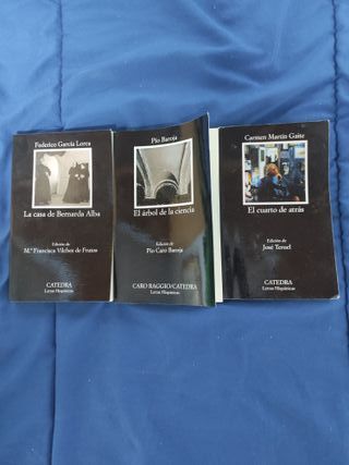 Libros literatura bachillerato