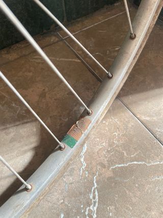 Bicicleta Clásica Paseo Verde