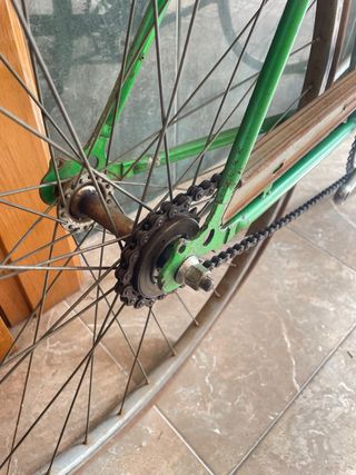 Bicicleta Clásica Paseo Verde