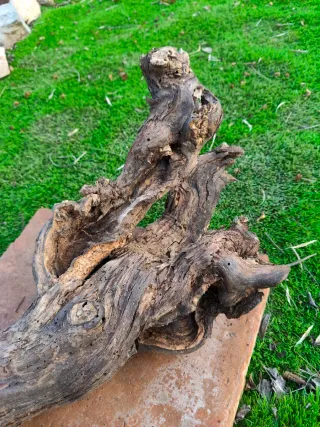 Tronco hueco natural para terrario