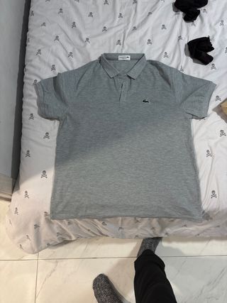 Polo Lacoste Gris