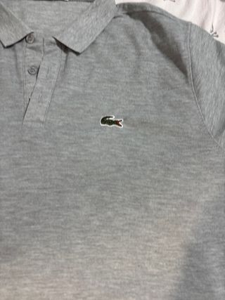 Polo Lacoste Gris