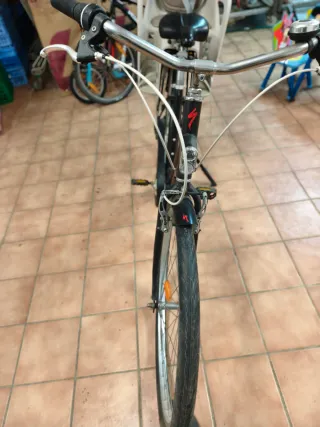 Bicicleta de paseo