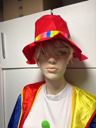 Disfraz Payaso Adulto Talla Única