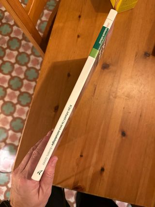 El Joc infantil i la seva metodologia