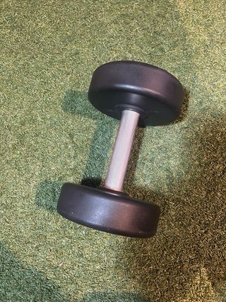 Mancuerna Technogym 12 kg