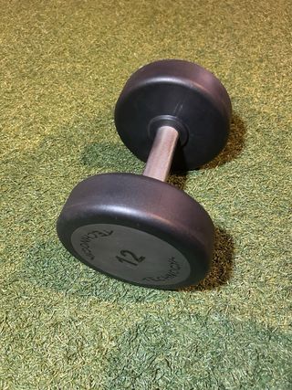 Mancuerna Technogym 12 kg
