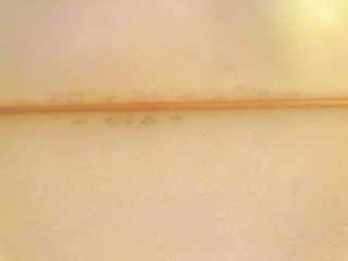 Tabla de surf OLA Dakine