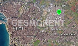 Oficina en alquiler en La Indioteria en Palma de Mallorca