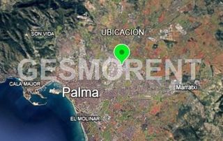 Oficina en alquiler en La Indioteria en Palma de Mallorca